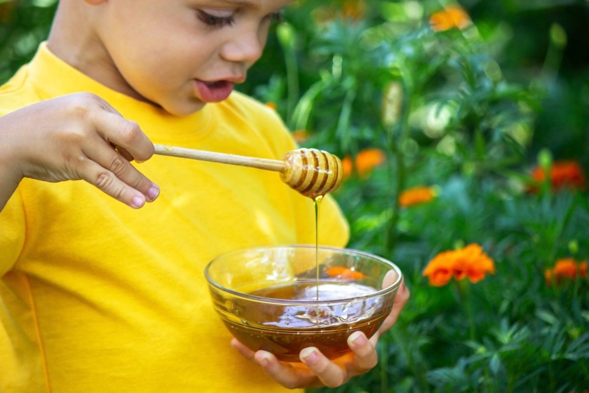 Honey vs. Sugar: A Data-Driven Look at Southeast Asia's Sweetener Debate