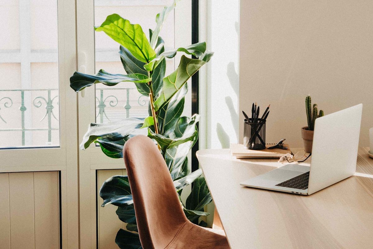 The Hidden Costs of Online Thrifting in Southeast Asia: A Buyer's Guide